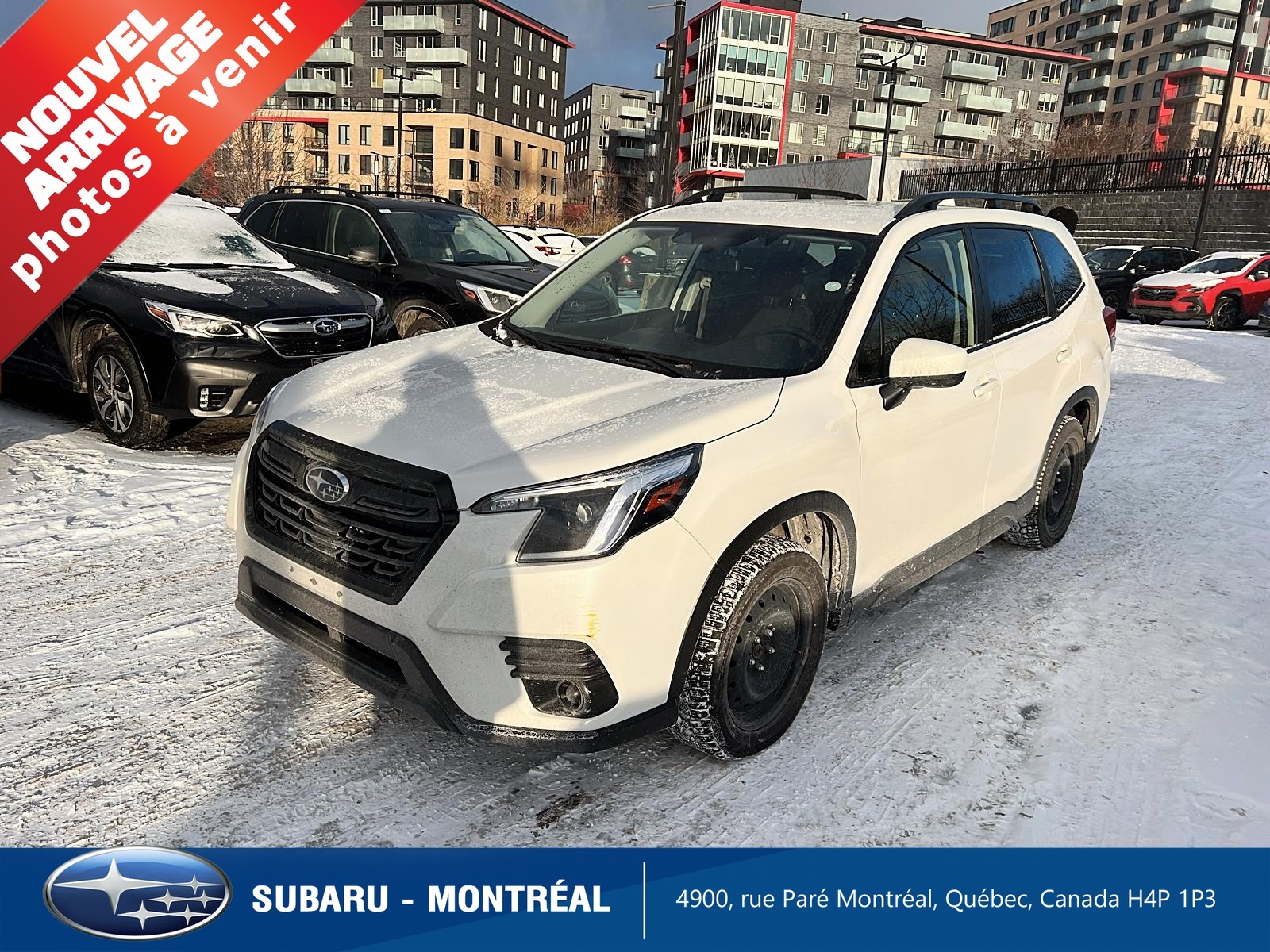 2023 Subaru Forester