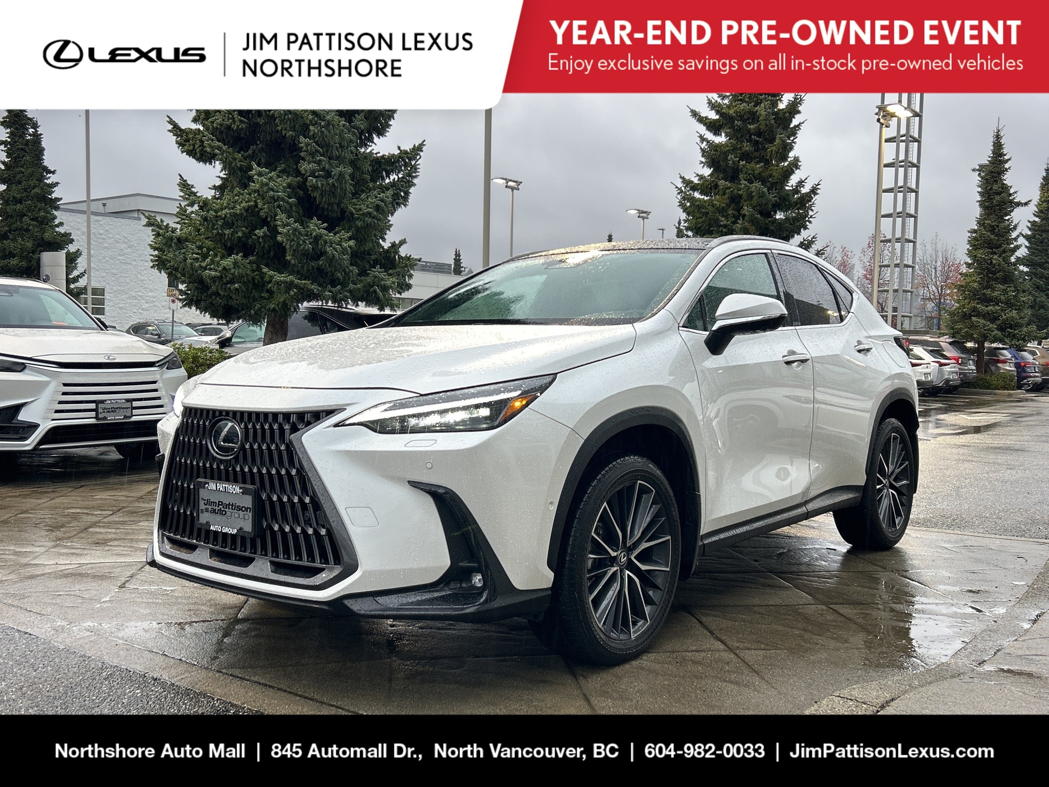 2024 Lexus NX