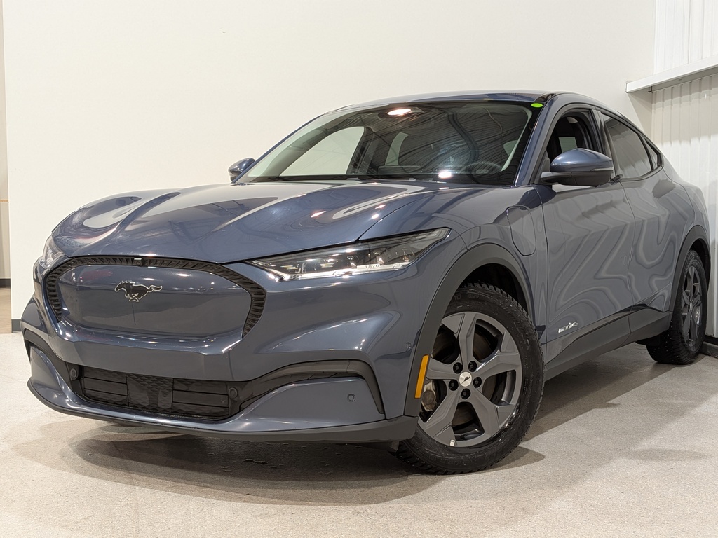 Ford Mustang Mach-E 2021