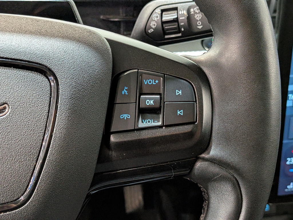 Ford Mustang Mach-E 2021