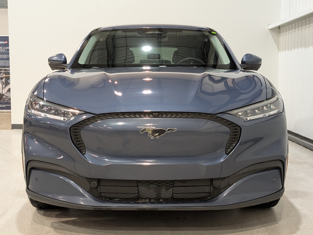 Ford Mustang Mach-E 2021