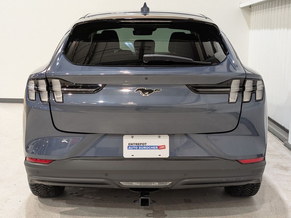 Ford Mustang Mach-E 2021