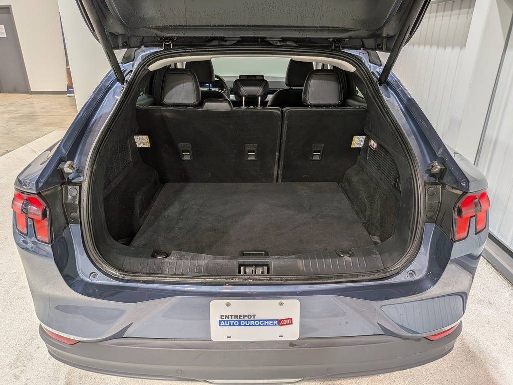 Ford Mustang Mach-E 2021