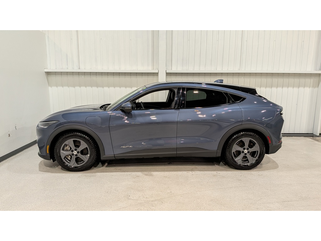 Ford Mustang Mach-E 2021