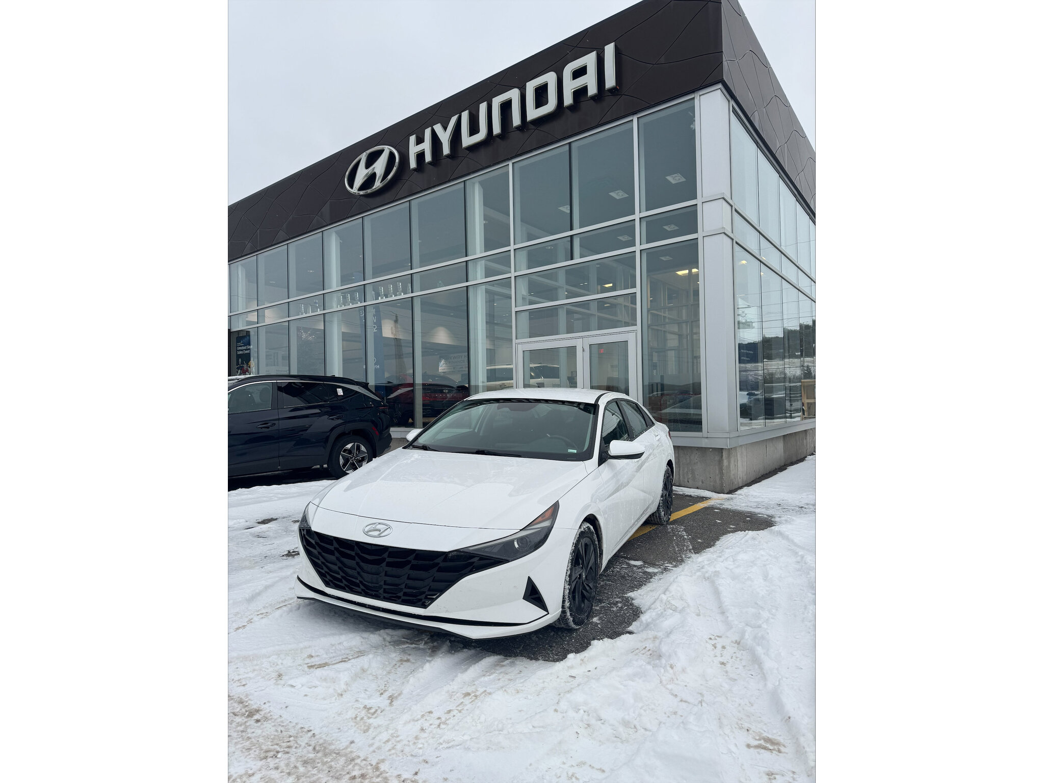 2023 Hyundai Elantra