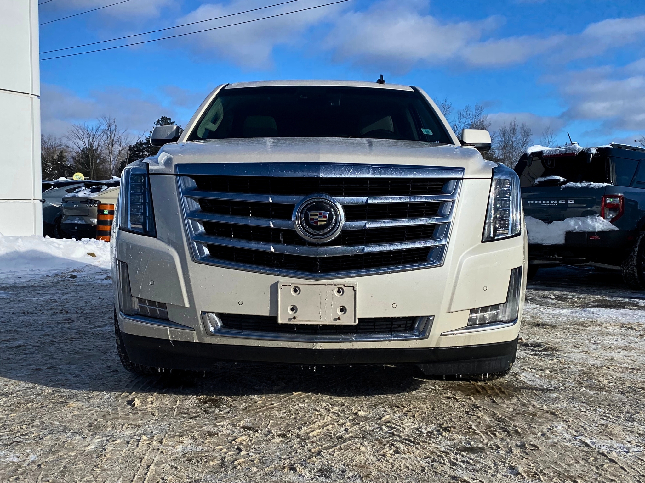 2015 Cadillac Escalade