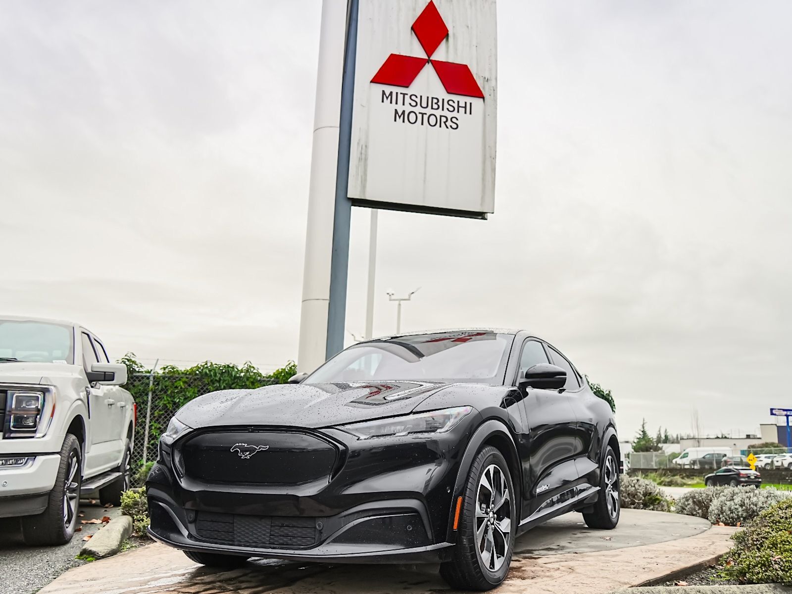 2021 Ford Mustang Mach-E