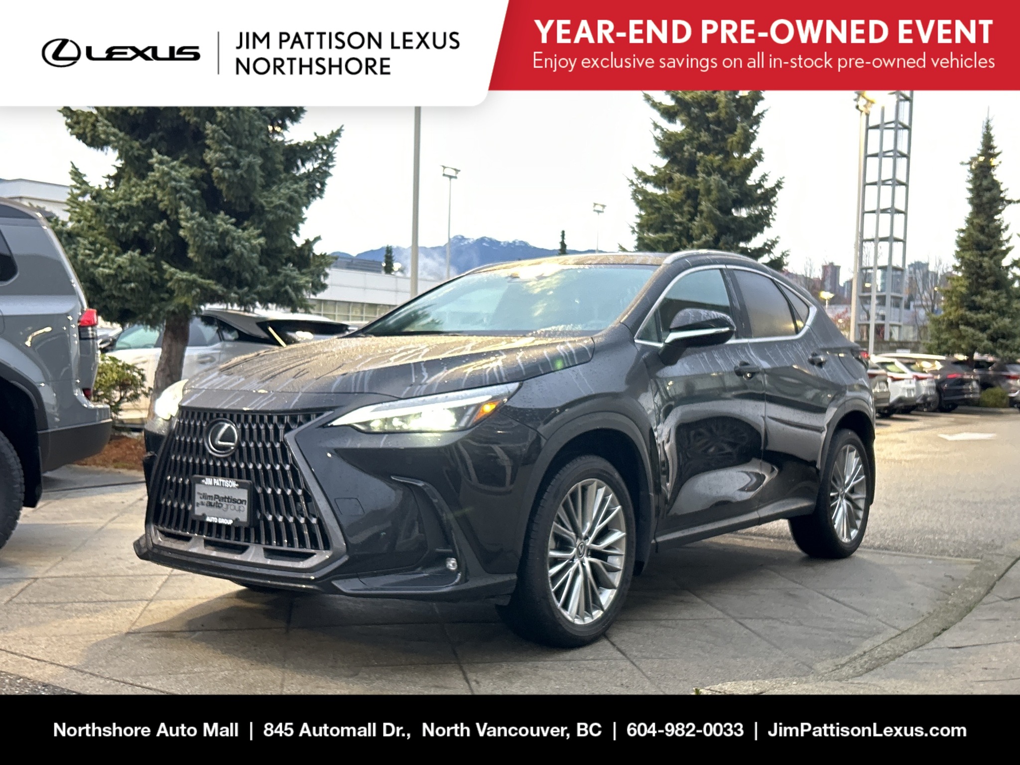 2024 Lexus NX