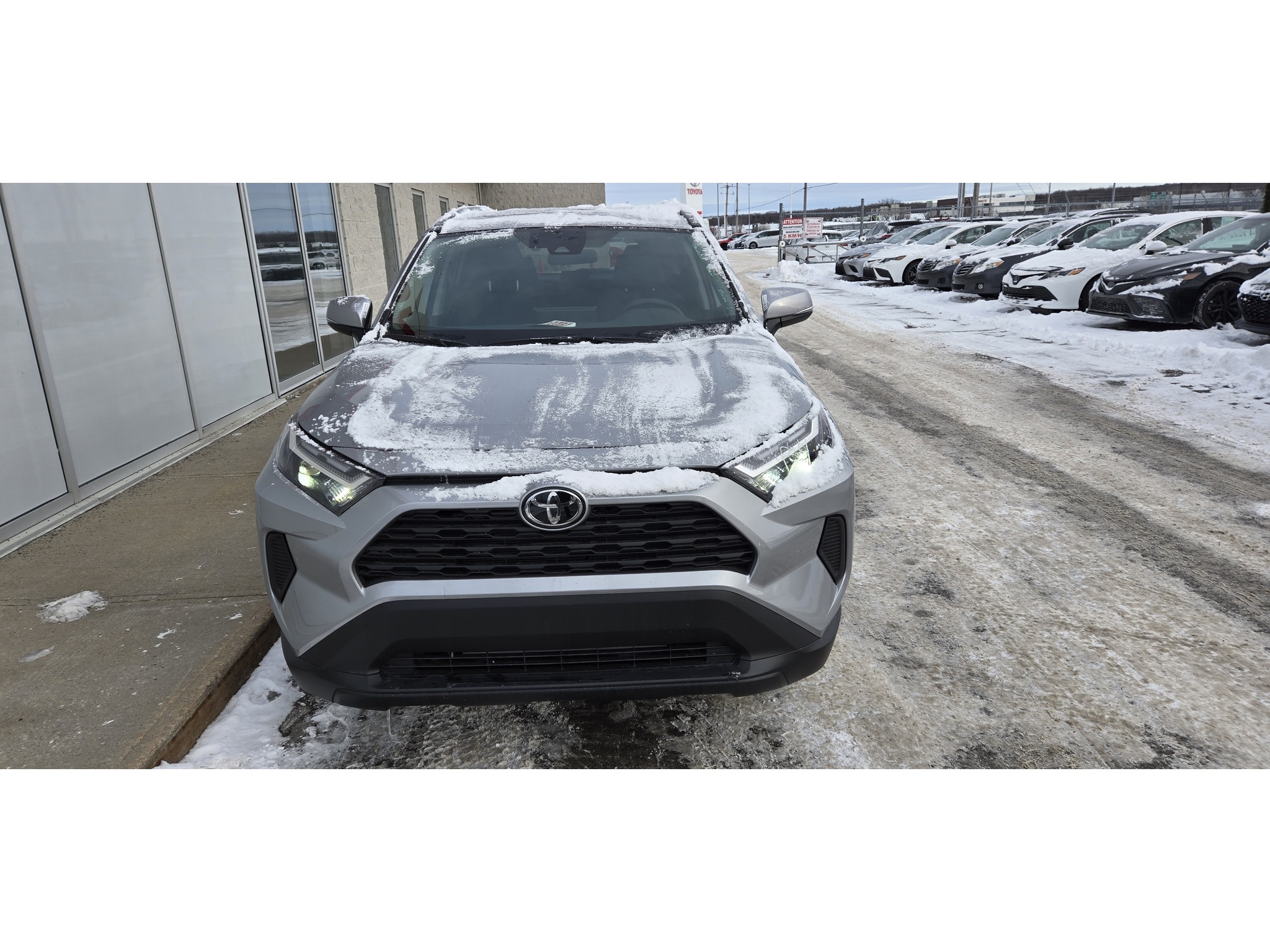 2025 Toyota RAV4