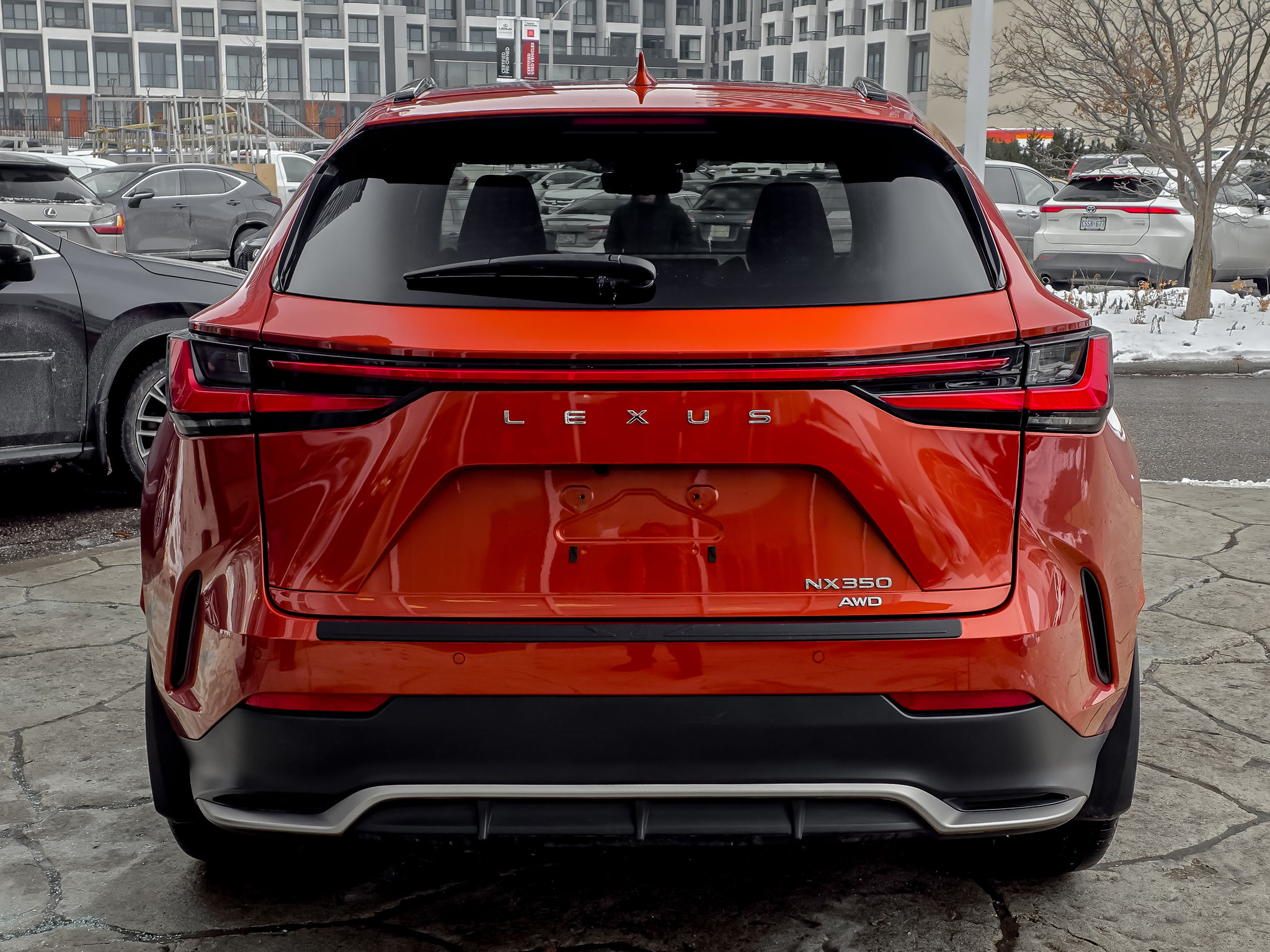 2024 Lexus NX 350