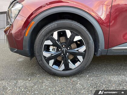 used 2024 Kia Sportage car, priced at $31,874