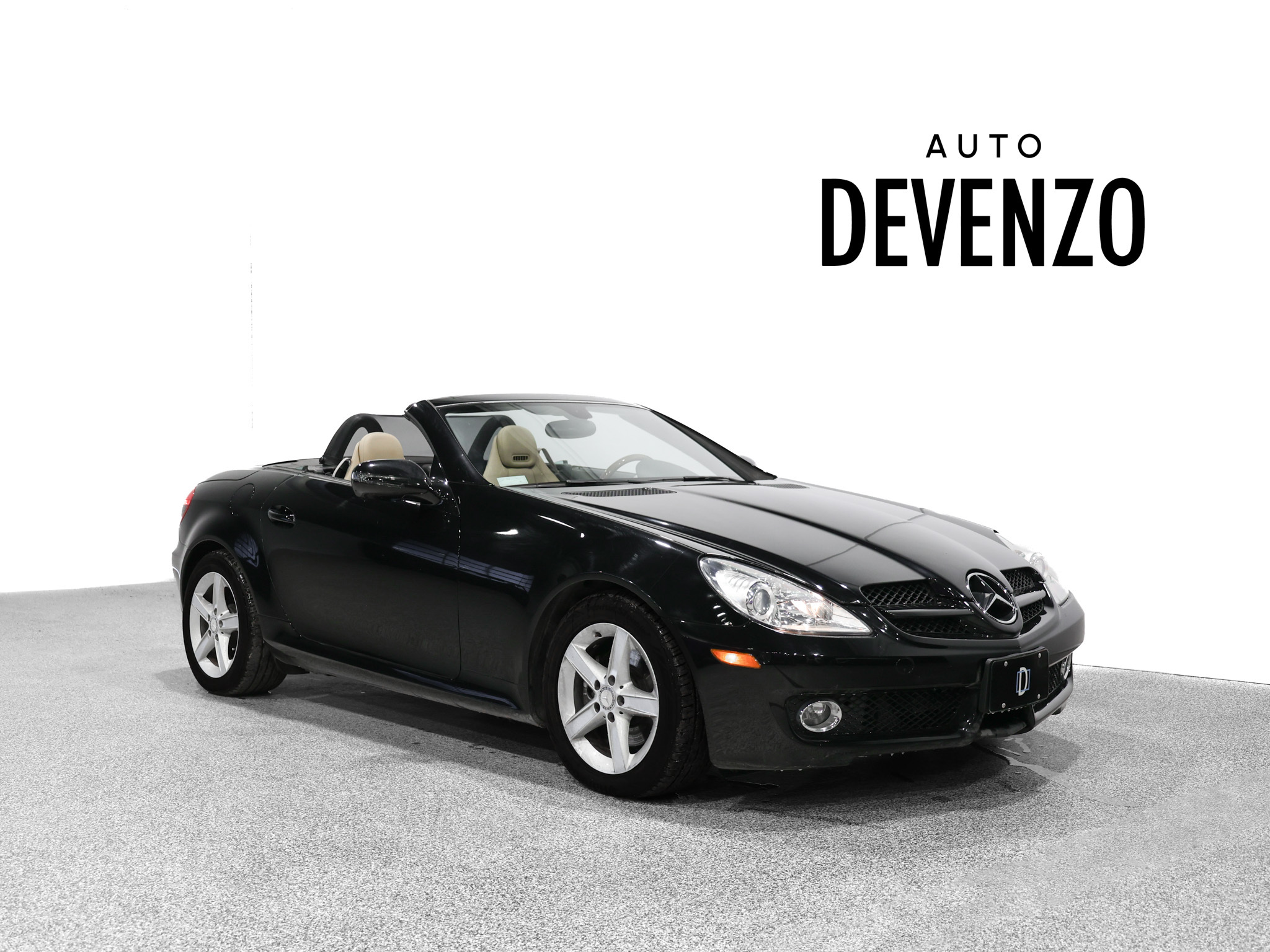 Mercedes-Benz SLK 300 2009