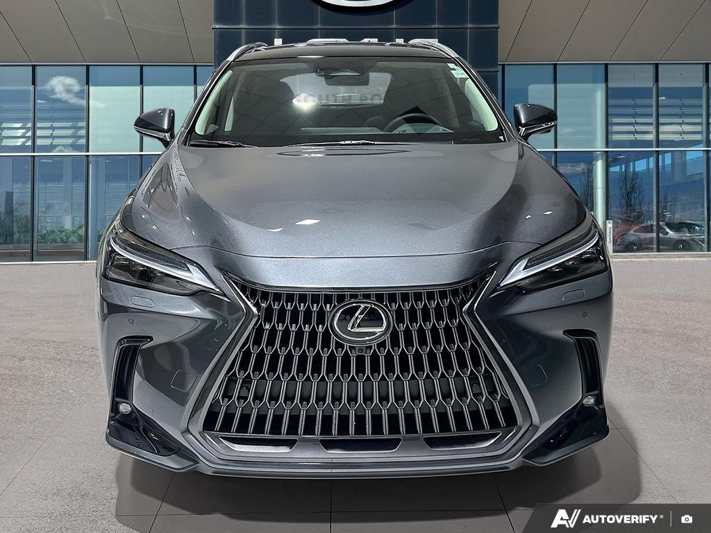 2026 Lexus NX 350