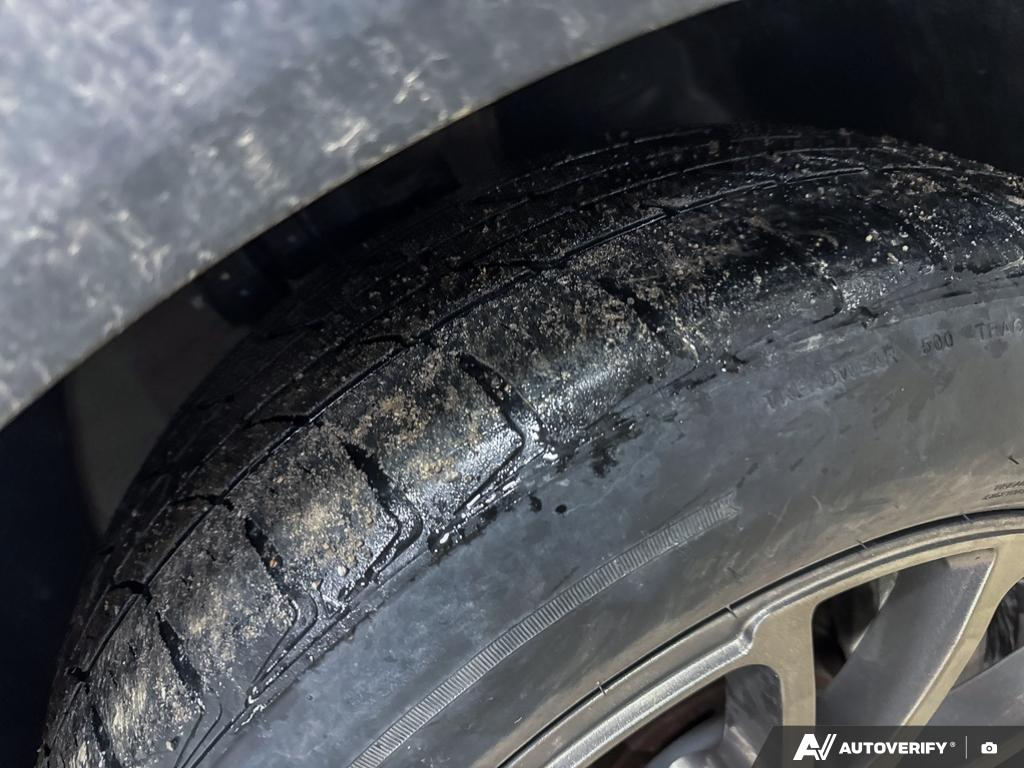 2023 Kia Sportage - Gallery image 6