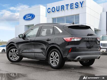 used 2022 Ford Escape car, priced at $24,999