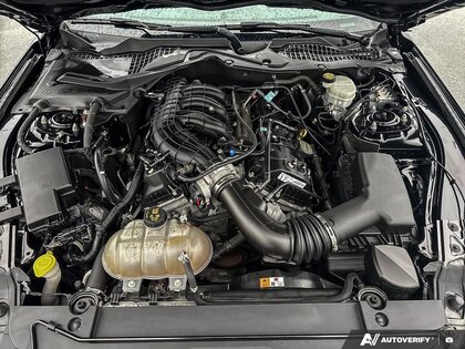 used 2017 Ford Mustang car, priced at $22,749