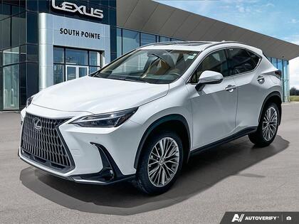 2026 Lexus NX 350 Executive AWD