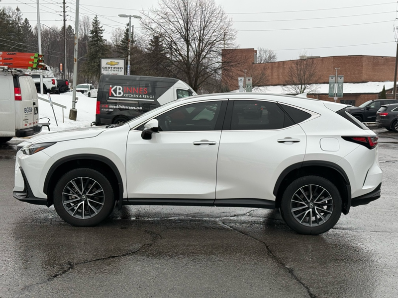 2024 Lexus NX 350 - Gallery image 7