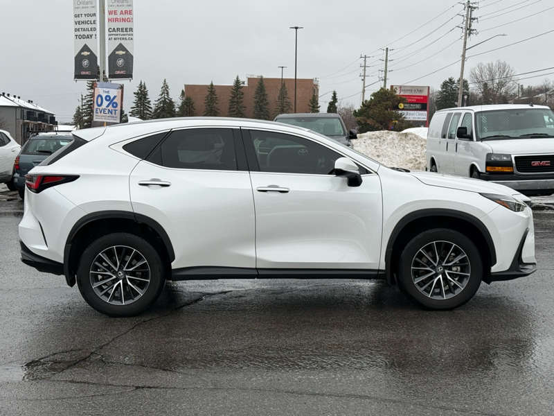 2024 Lexus NX 350 - Gallery image 1