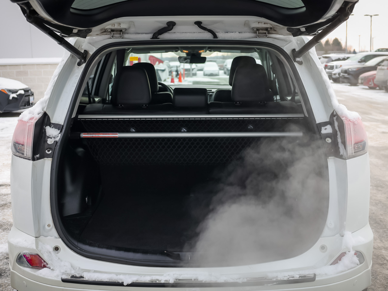 2018 Toyota RAV4 - Gallery image 9