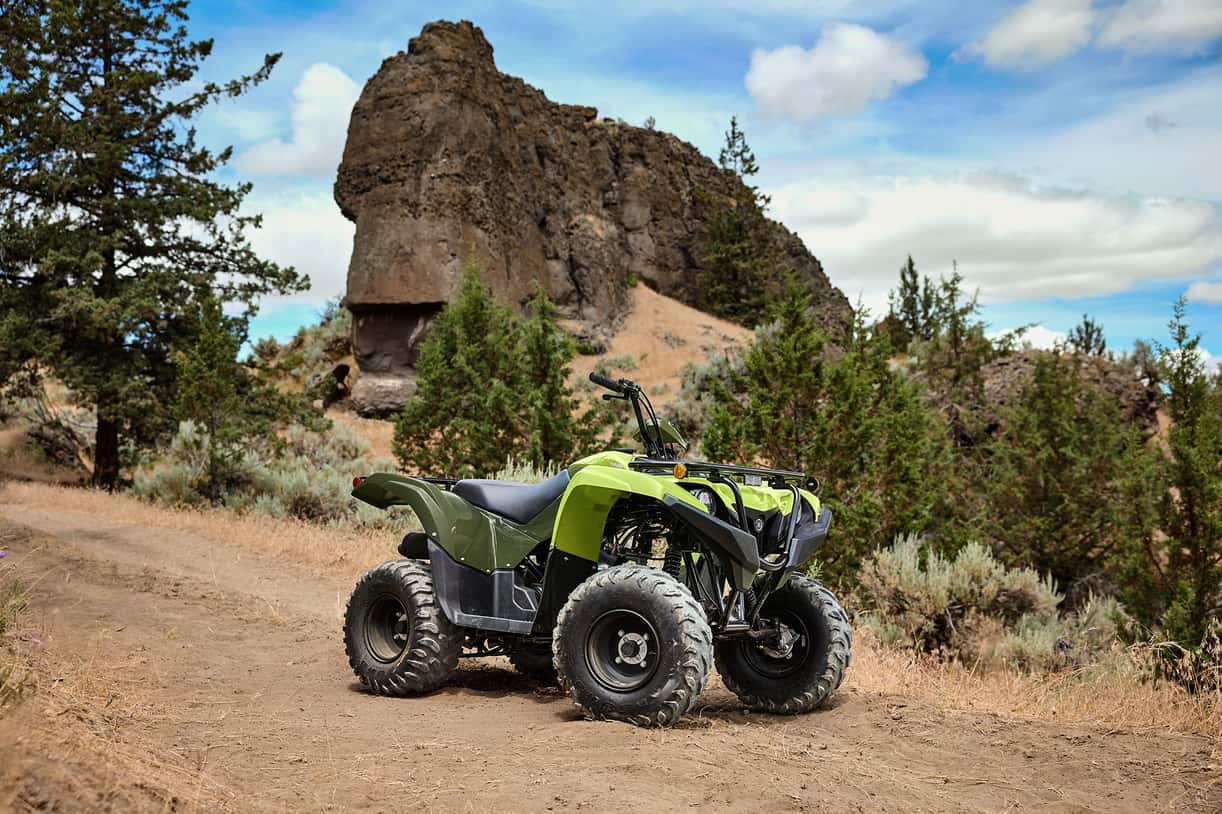 2026 Yamaha Grizzly 110