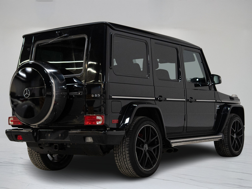 2016 Mercedes-Benz AMG G 65 65   AMG   V12   CARBON FIBRE   21 IN, 多伦多, 全款车