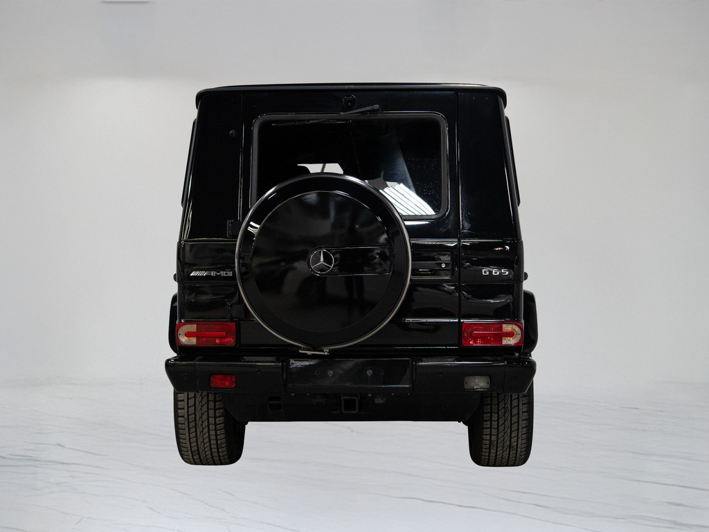 2016 Mercedes-Benz AMG G 65 65   AMG   V12   CARBON FIBRE   21 IN, 多伦多, 全款车