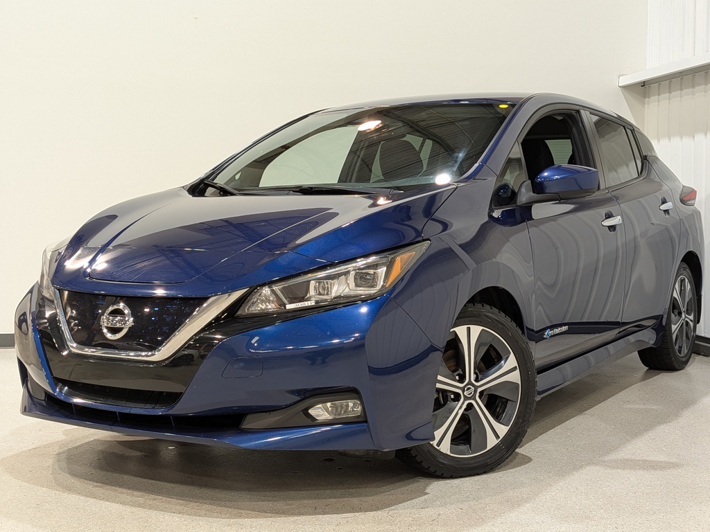 Nissan LEAF 2019