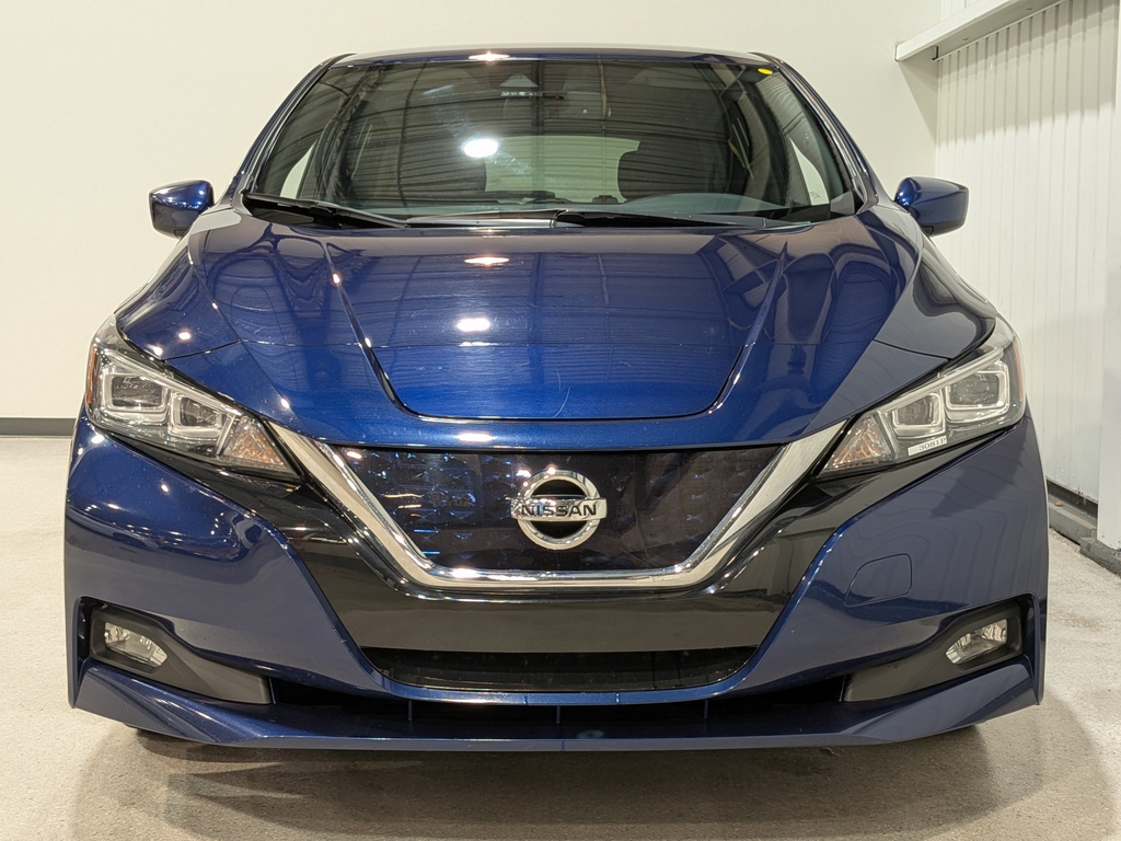 Nissan LEAF 2019