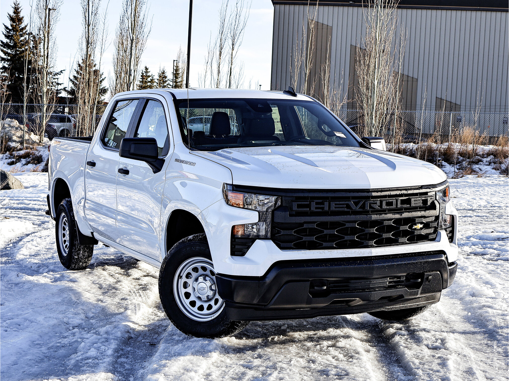 Chevrolet Silverado 1500 Work Truck Sherwood Park