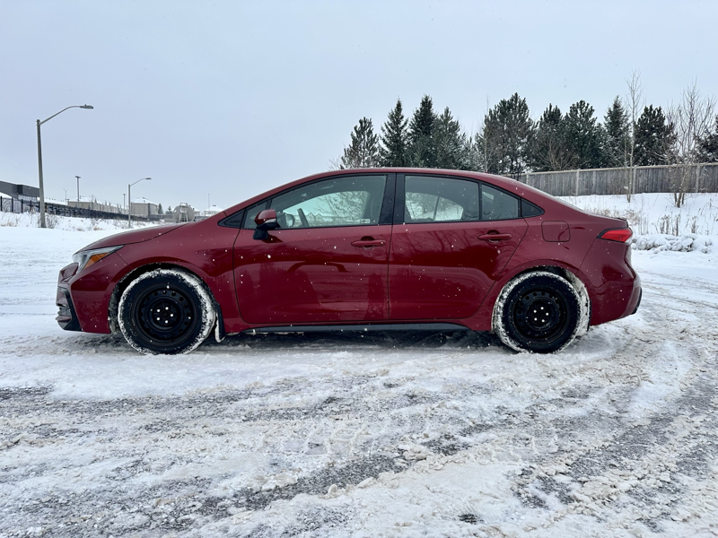 2024 Toyota Corolla - Gallery image 2