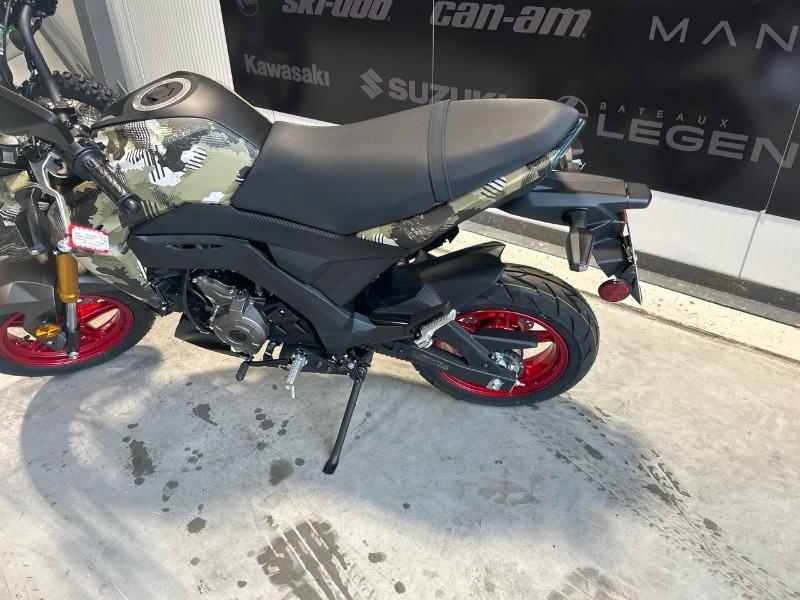 2025 Kawasaki BR125JSFAN