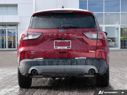 used 2020 Ford Escape car, priced at $18,500