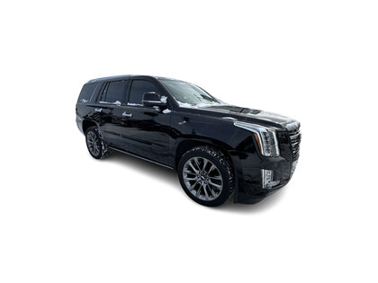 used 2020 Cadillac Escalade car, priced at $55,995