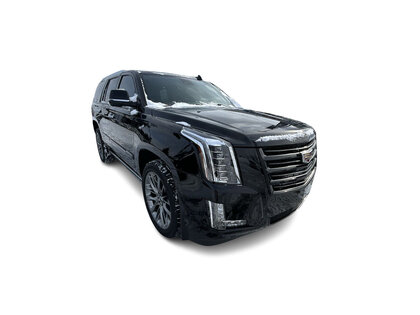 used 2020 Cadillac Escalade car, priced at $55,995