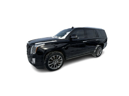 used 2020 Cadillac Escalade car, priced at $55,995