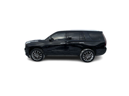 used 2020 Cadillac Escalade car, priced at $55,995