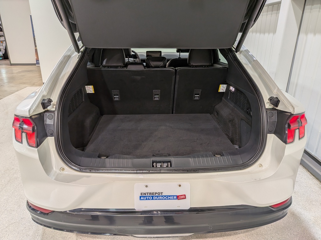 Ford Mustang Mach-E 2021