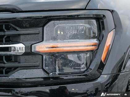 used 2024 Ford F-150 car, priced at $55,500