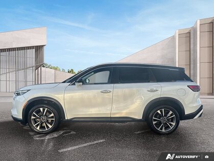 used 2024 INFINITI QX60 car, priced at $47,900