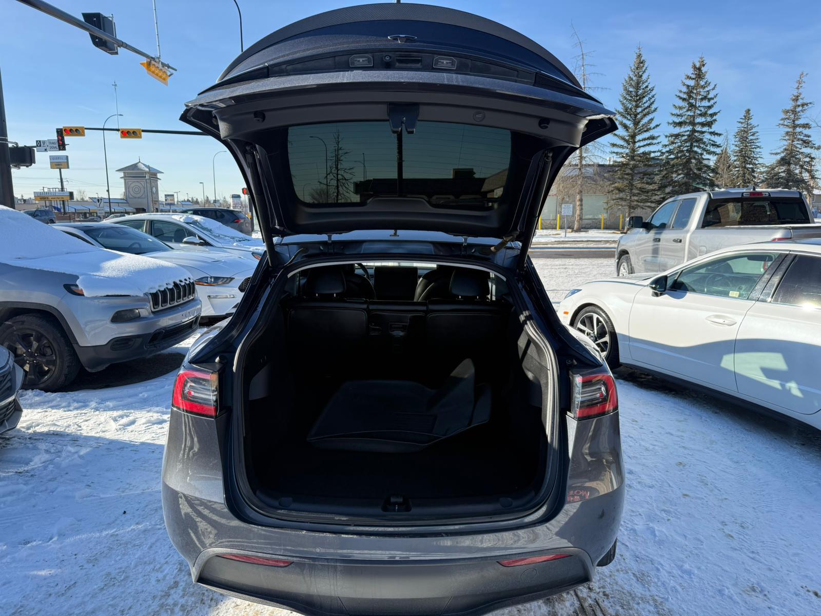 2022 Tesla Model Y — view 7