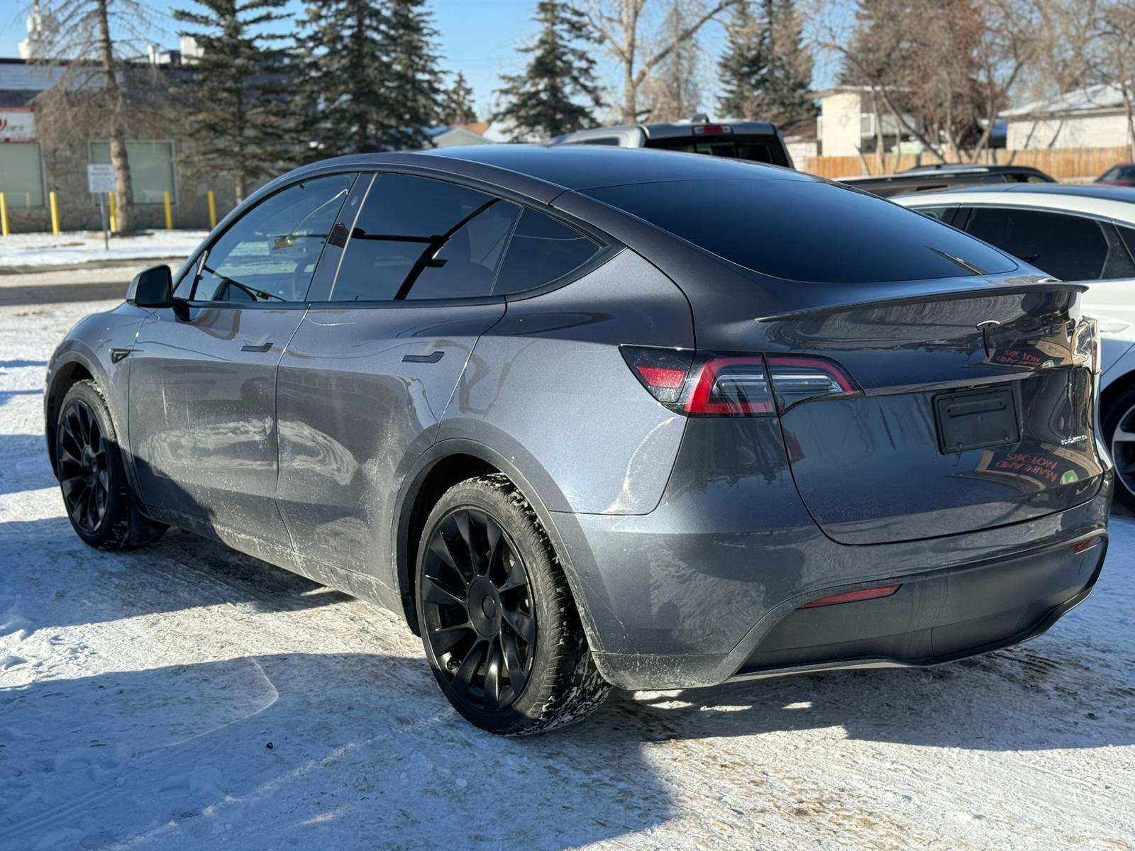 2022 Tesla Model Y — view 6