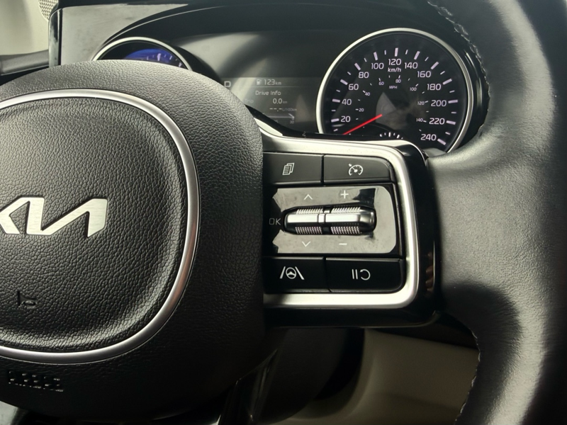 2024 Kia Carnival - Gallery image 14