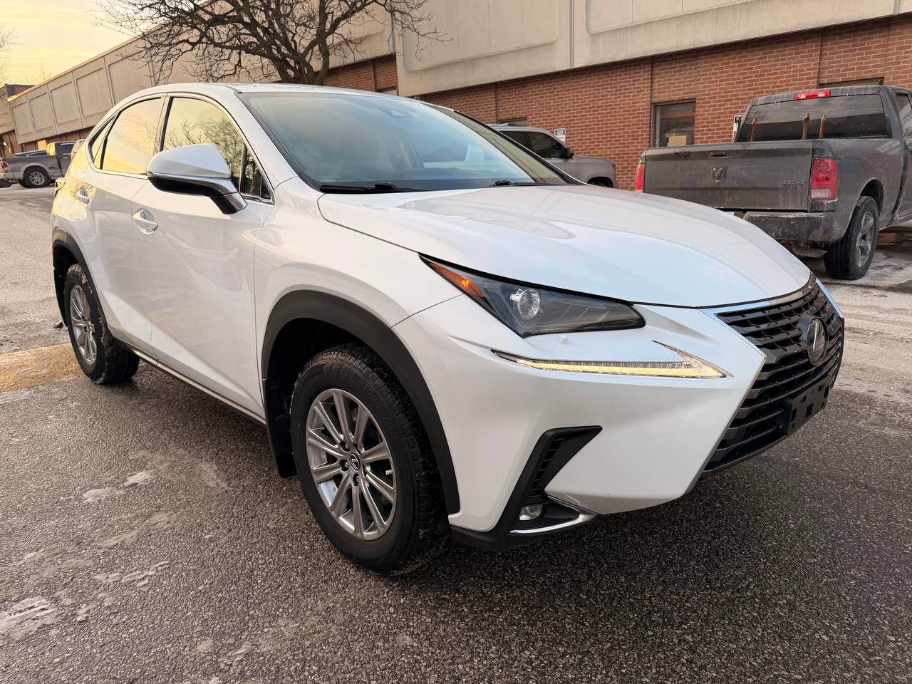 2021 Lexus NX