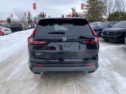 used 2024 Honda CR-V Hybrid car
