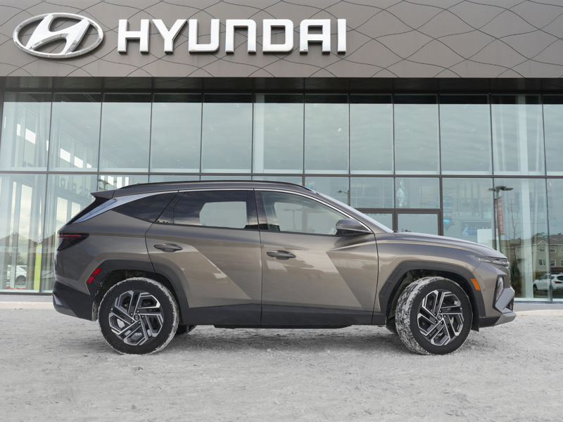 2025 Hyundai Tucson - Gallery image 1