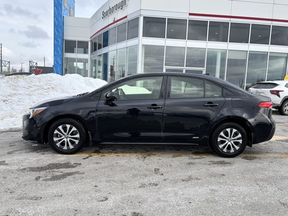used 2025 Toyota Corolla car, priced at $32,995