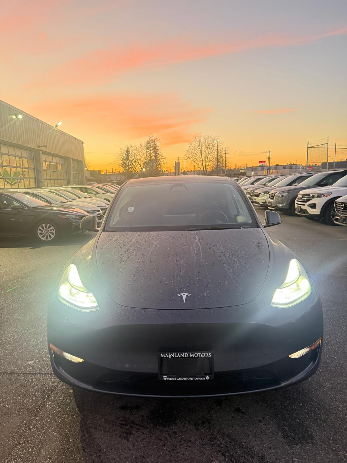 2023 Tesla Model Y — view 2