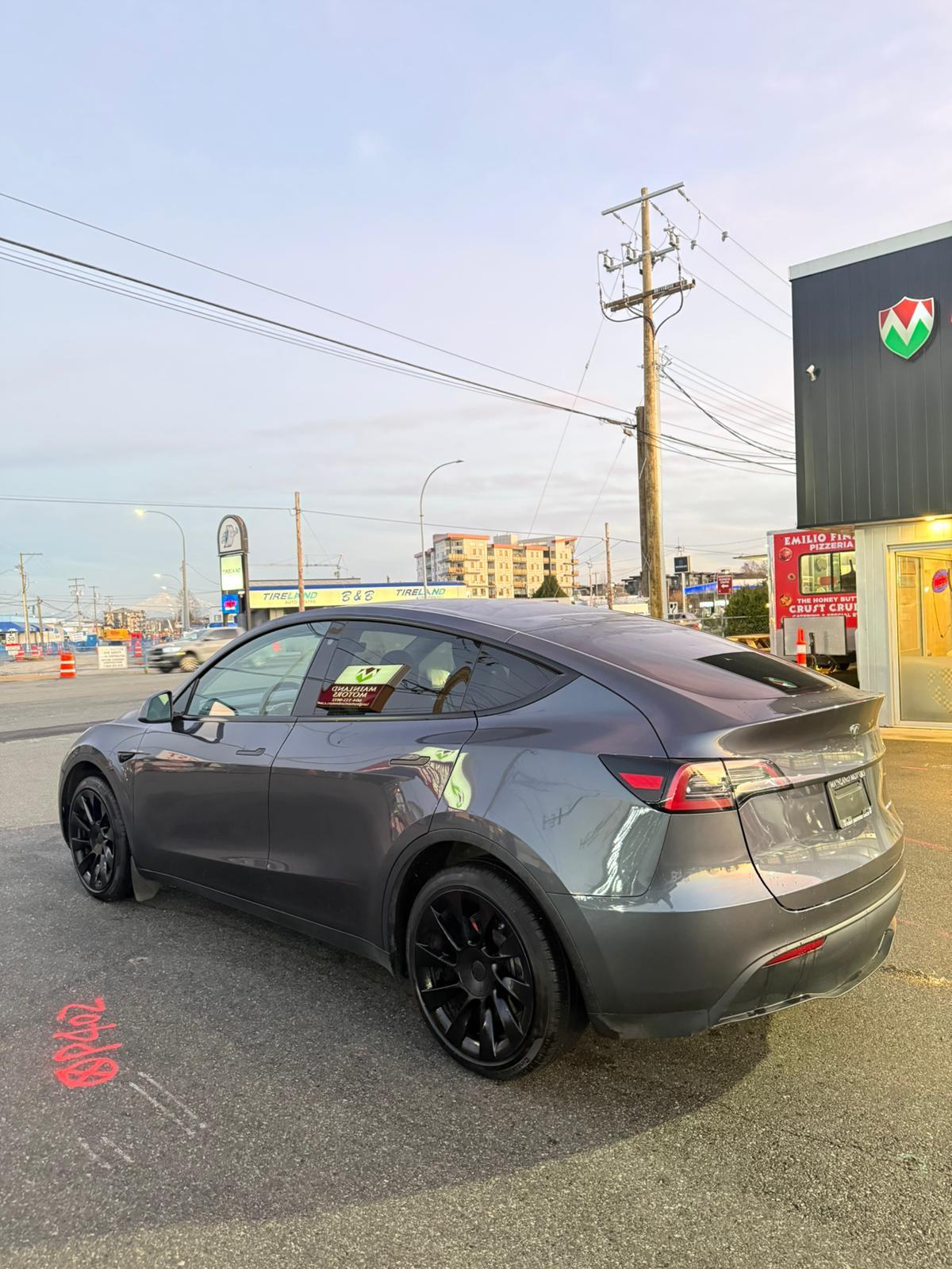 2023 Tesla Model Y — view 7