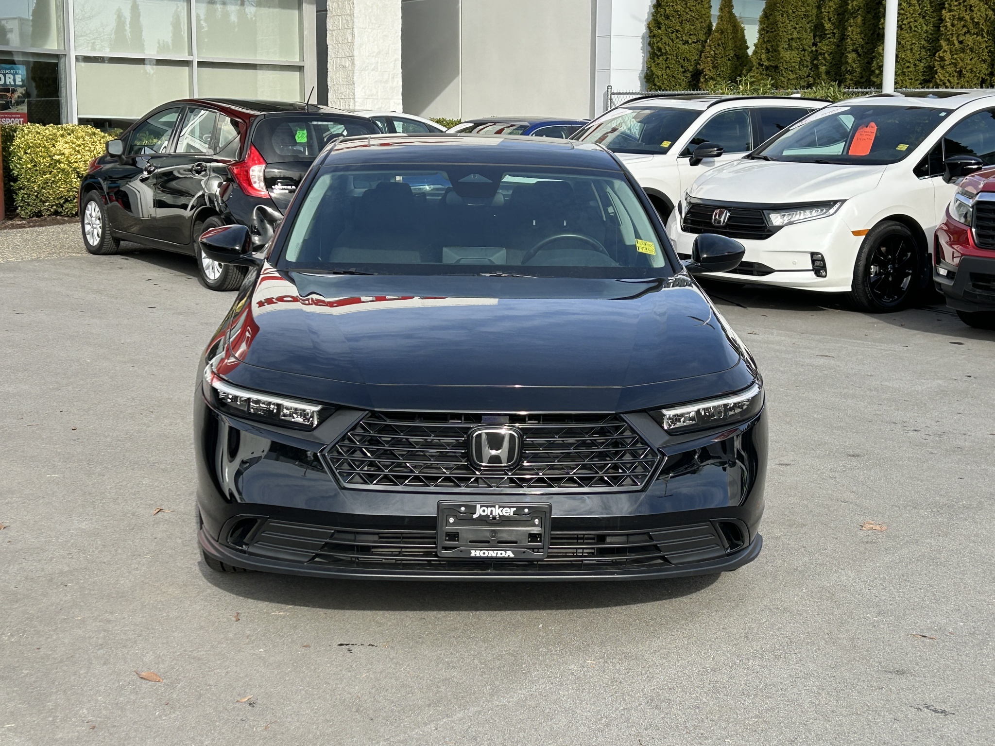 2025 Honda Accord Sedan